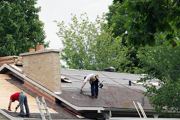 Best Gutter Installation and Repair  in Fergus Falls, MN